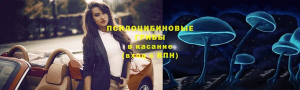 спайс Липки