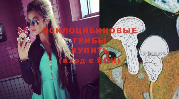 сатива Магадан