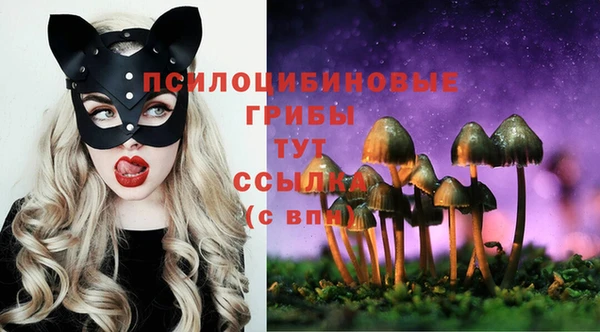 сатива Магадан