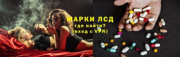 сатива Магадан