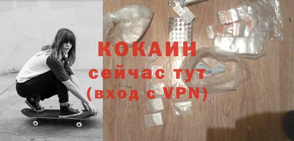 сатива Магадан