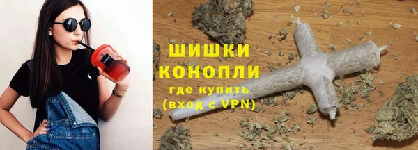 сатива Магадан