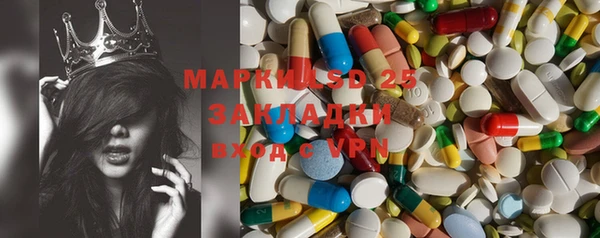 сатива Магадан