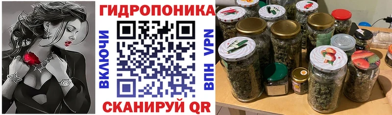 Канабис White Widow  Купить закладки  Королёв 